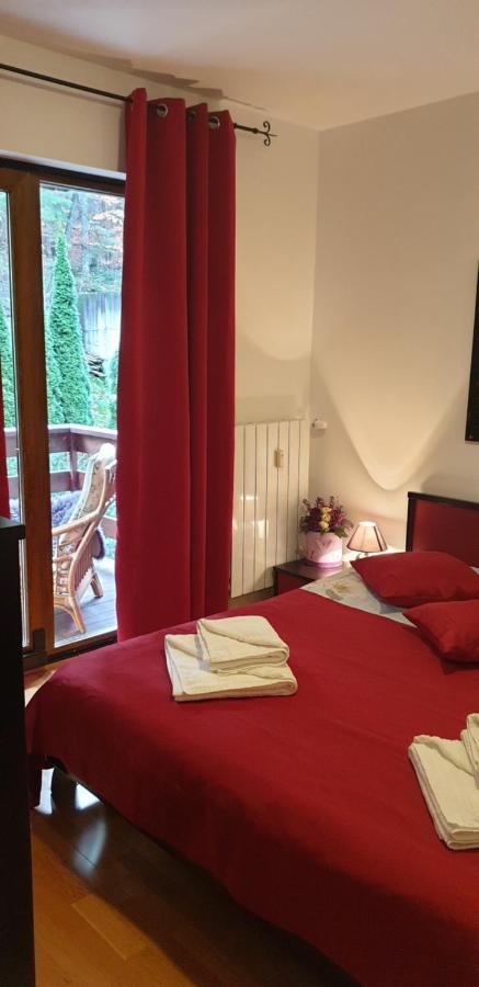 Emma Apartament Sinaia Extérieur photo