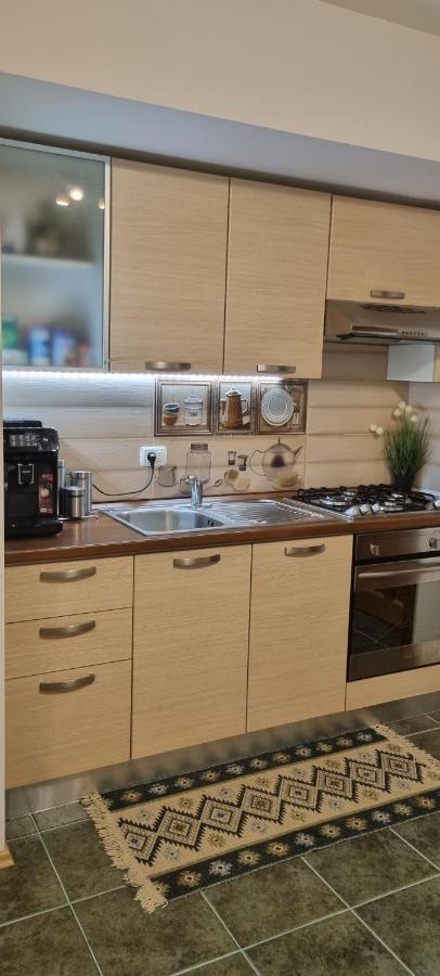 Emma Apartament Sinaia Extérieur photo